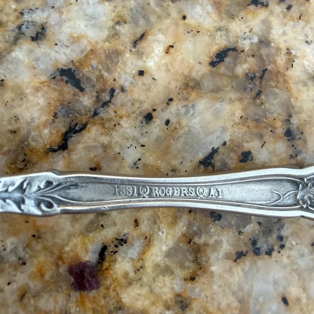 Elegant Silver Serving Spoon with Intricate Design